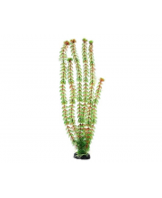 Растение пластиковое 50 см