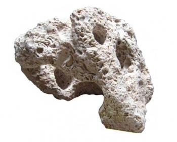 Камень Ракушечник 1 кг