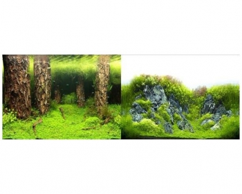 Фон двухсторонний Затопленный лес/Камни с растениями 30 см